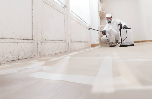 24/7 Emergency Black Mold Remediation experts in Leland, NC