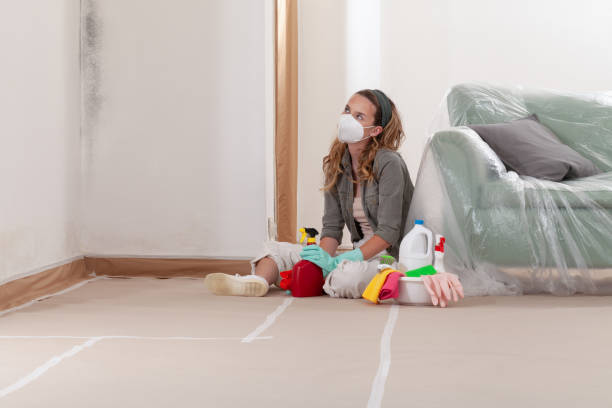 Reliable Black Mold Remediation contractor in Leland, NC by Car Mold Remediation
